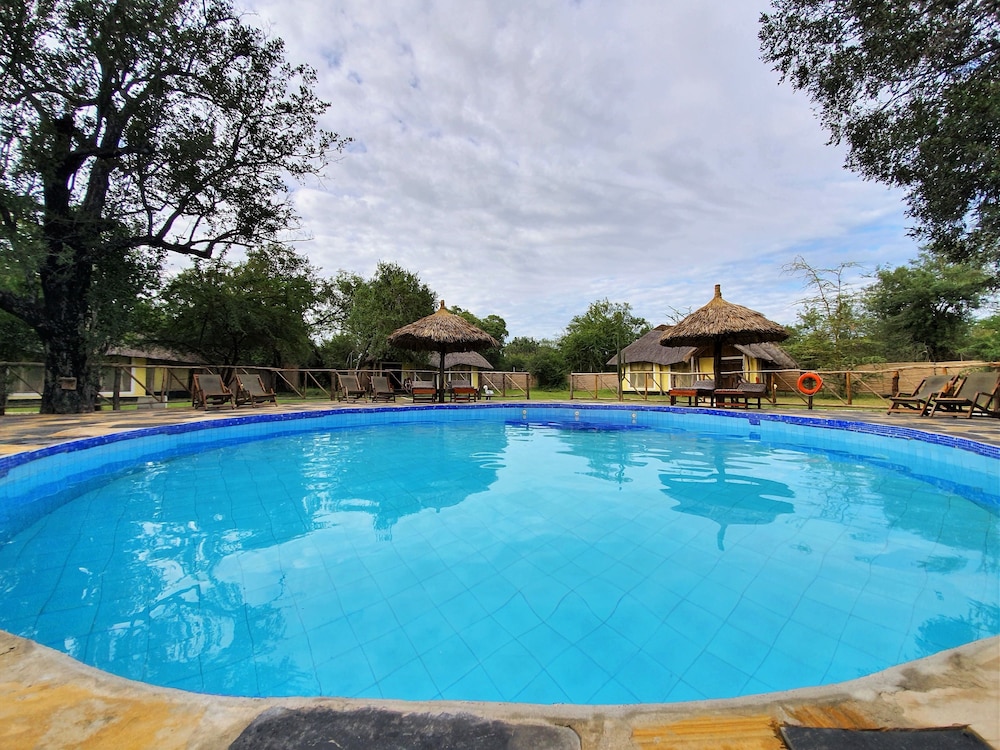 Africa Safari Camp 30/50