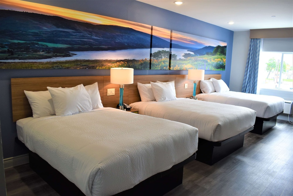 Days Inn & Suites By Wyndham Downtown/University Of Houston 33/60