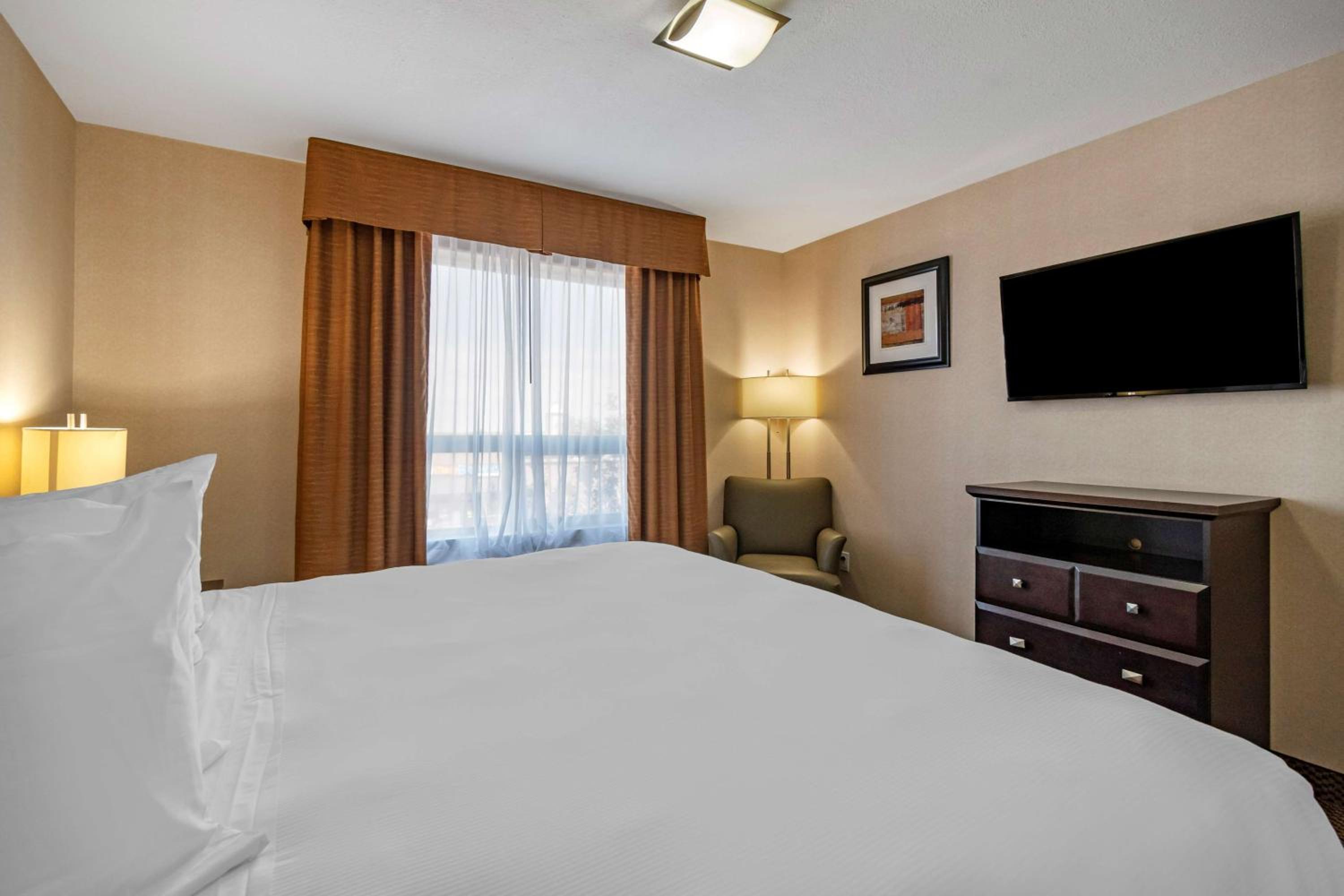 1 Bedroom, Suite, King Bed, Sofa
