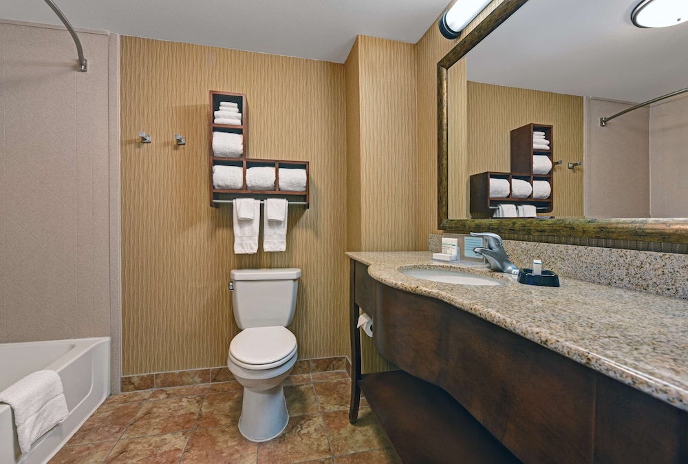 Hampton Inn Deming 21/47
