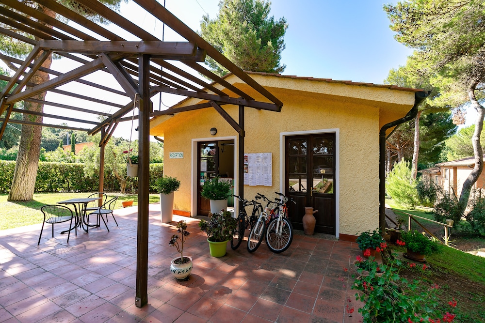 Il Paradiso 15/50