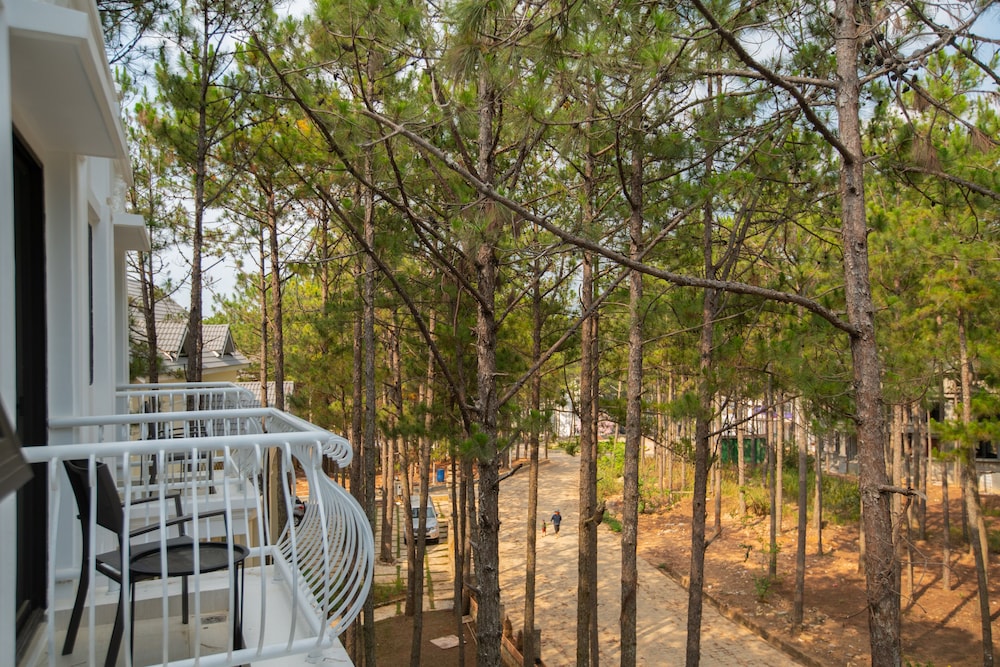 Cereja Hotel & Resort Dalat 45/50