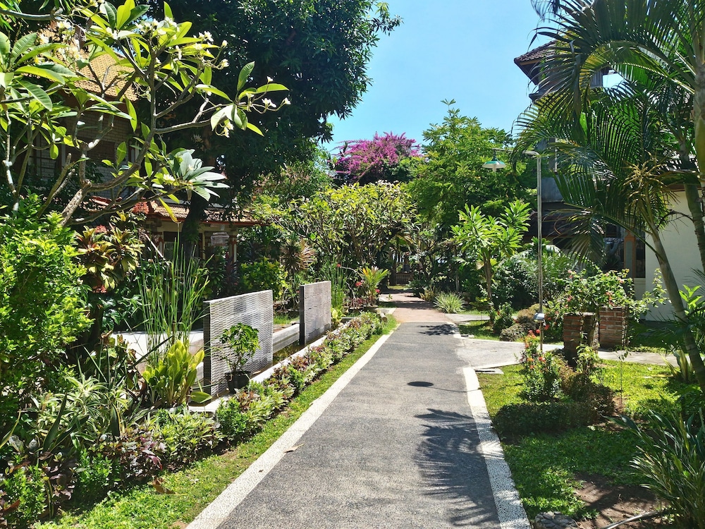 Lovina Beach Hotel 54/65