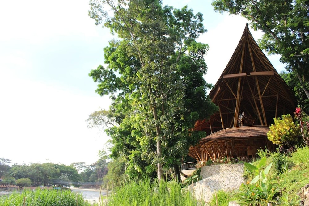 Ecolodge Bukit Lawang 55/58
