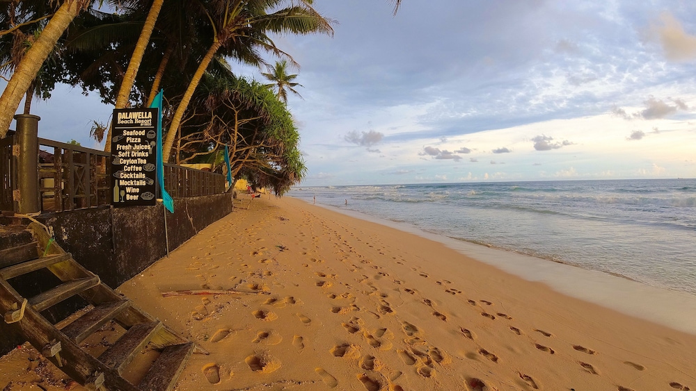 Dalawella Beach Resort 7/51