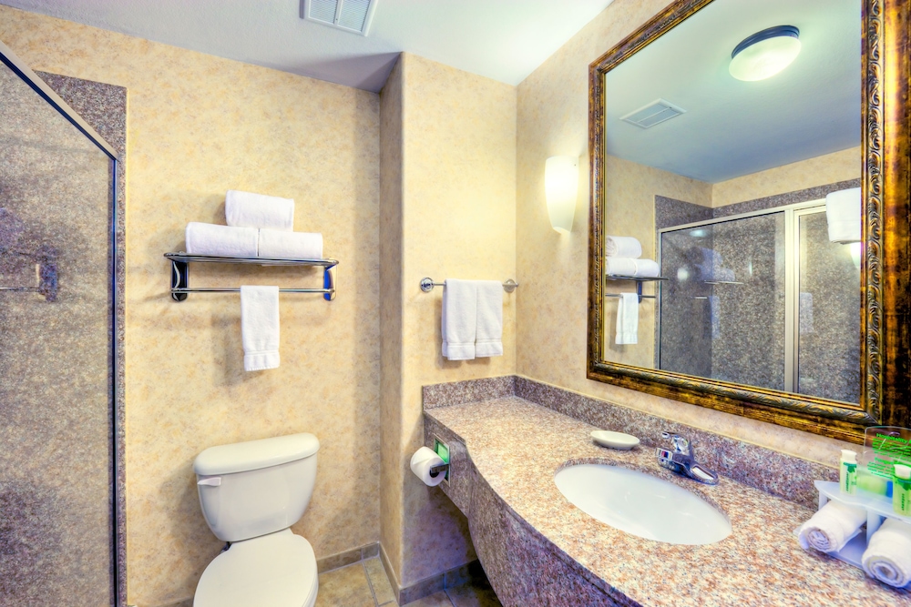 Holiday Inn Express And Suites Granbury 21/56
