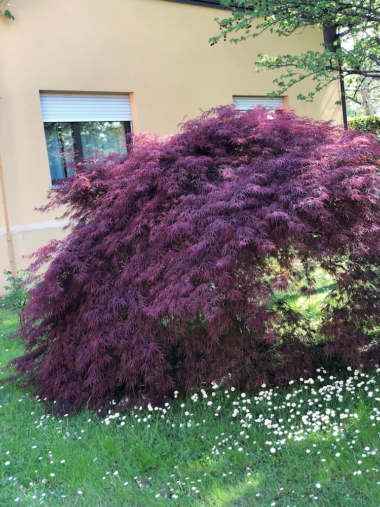 Parco Sassi Hotel 47/55