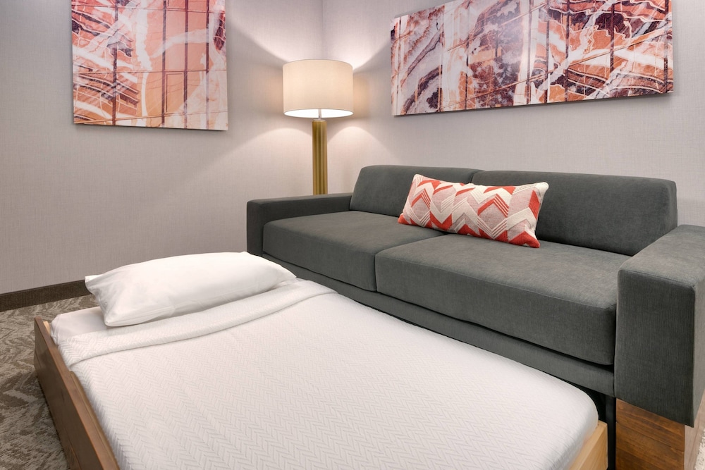 SpringHill Suites by Marriott Salt Lake City Sugar House 19/44