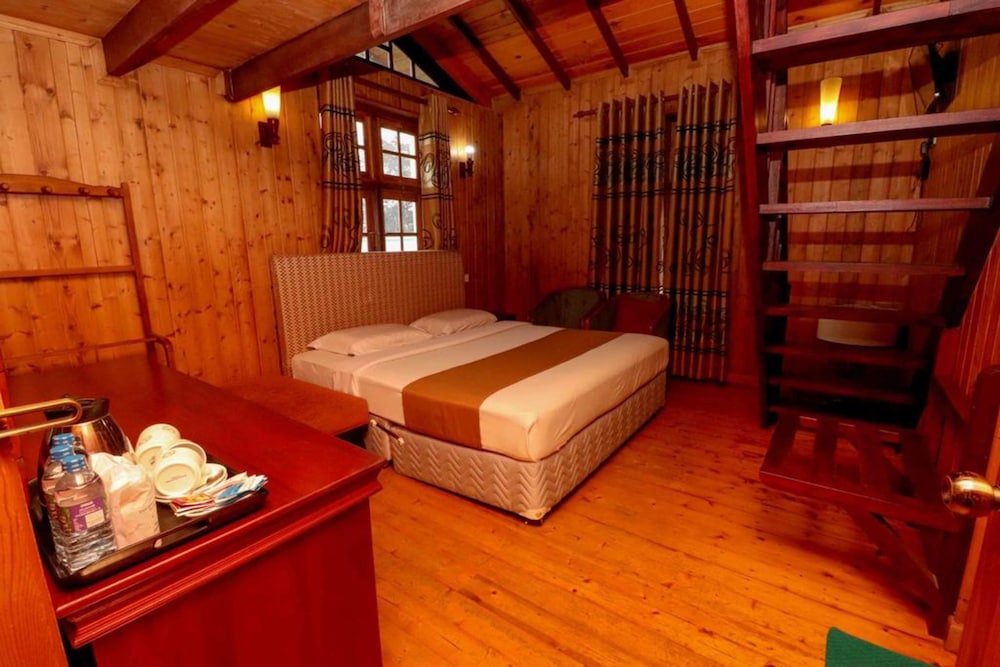 Alpine Hotel 7/27