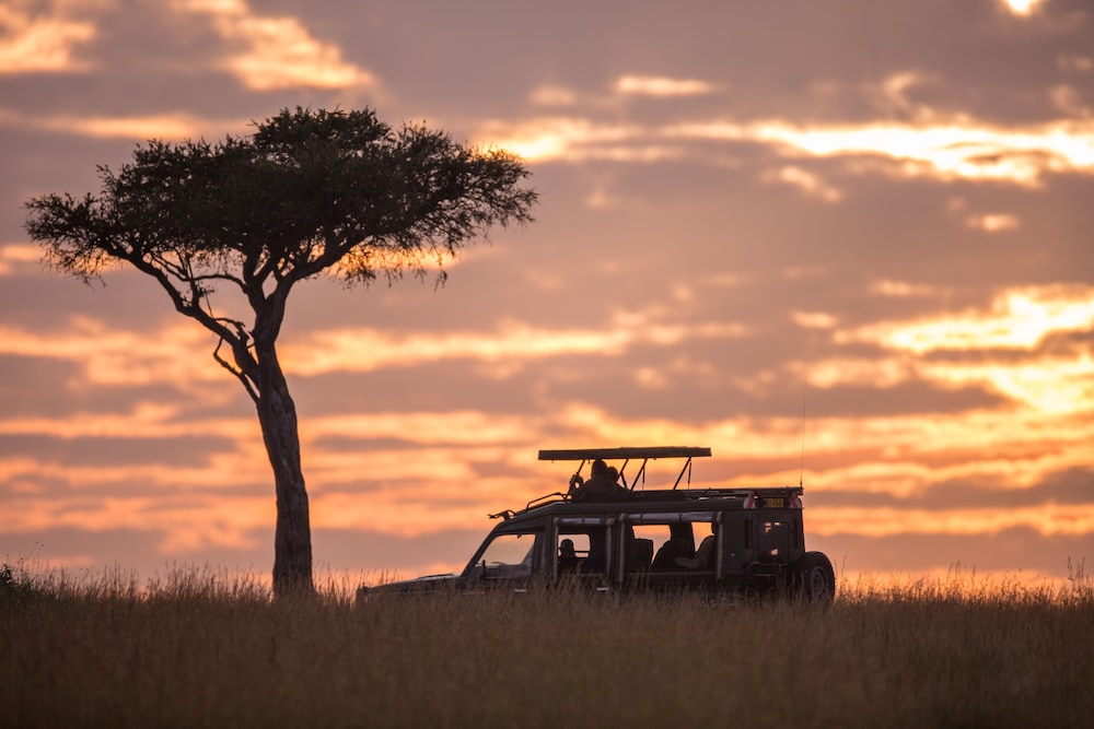 Sand River Masai Mara 28/43