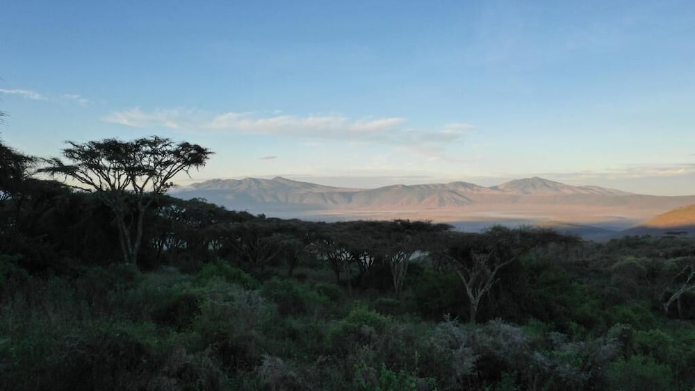 Karibu Camps and Lodges Lions Paw Ngorongoro 62/68