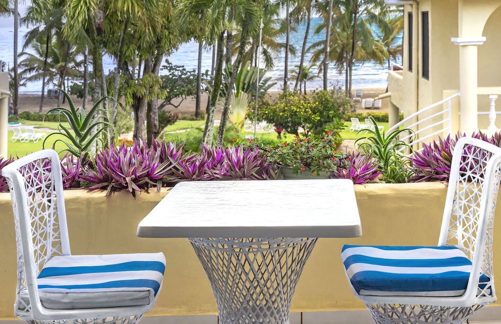 Cabarete Palm Beach Condos 34/50