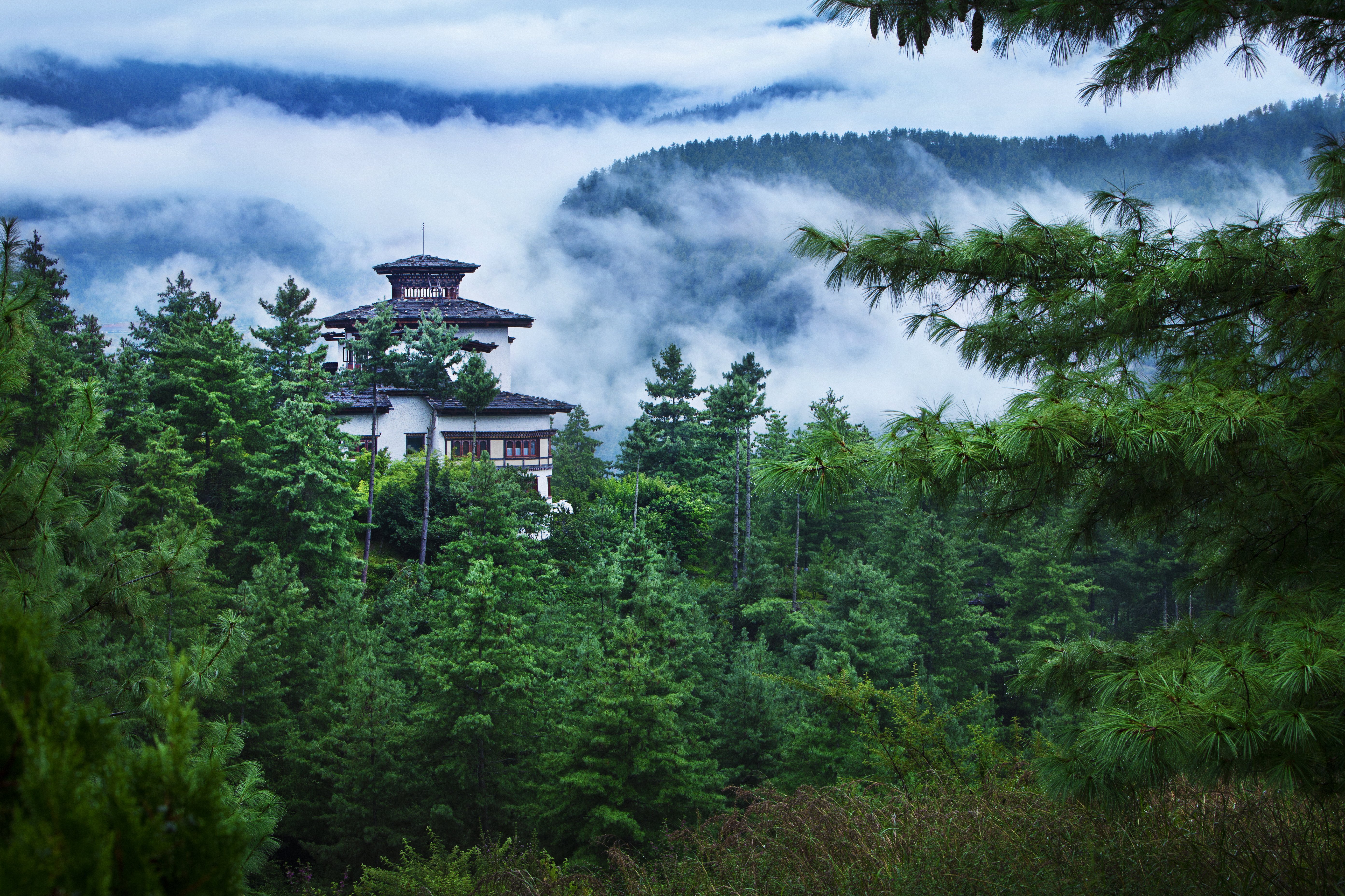 COMO UMA PARO 29/36