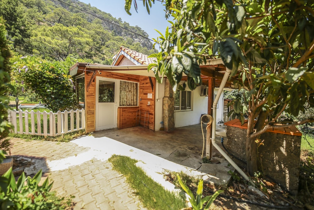 Cirali Villa Zeytin 41/50