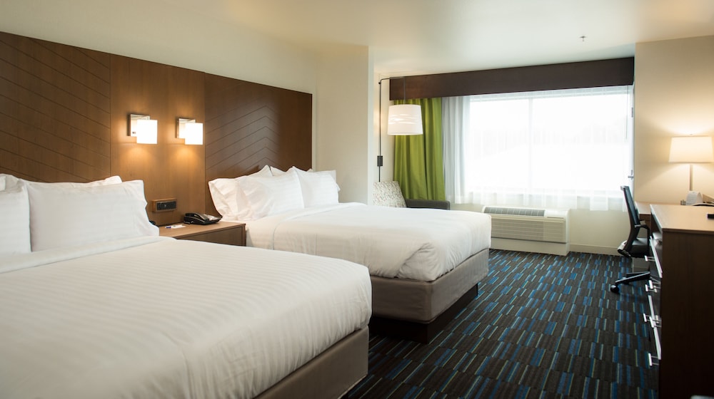 Holiday Inn Express And Suites Rock Falls 12/47