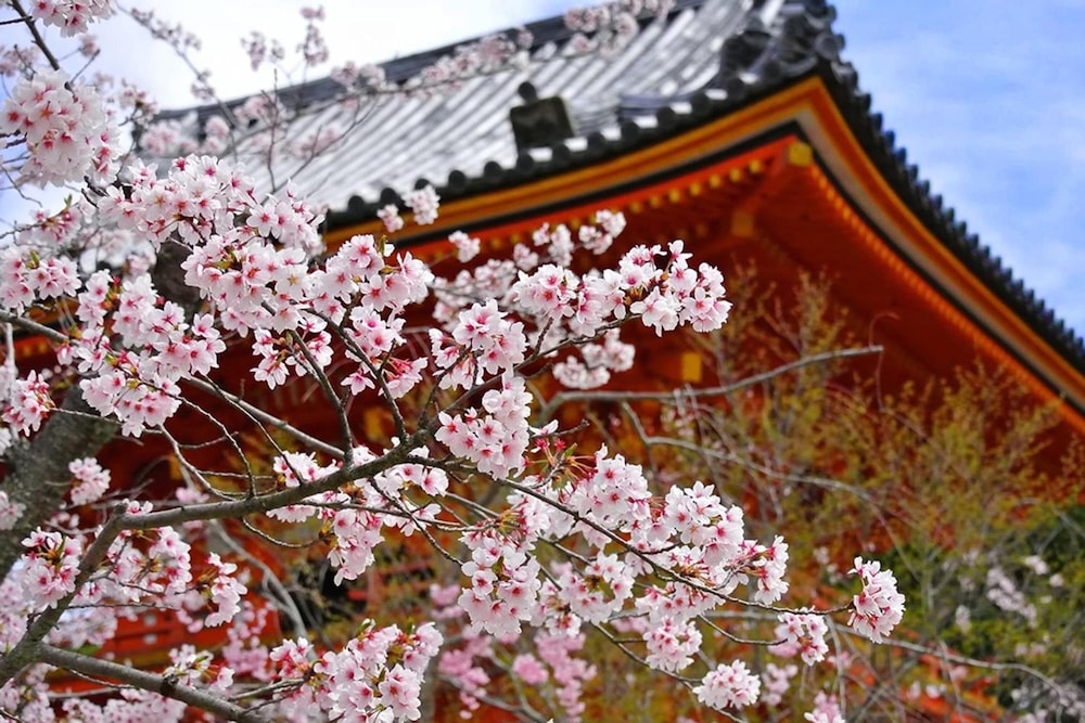 Kyomai Inn 5/24