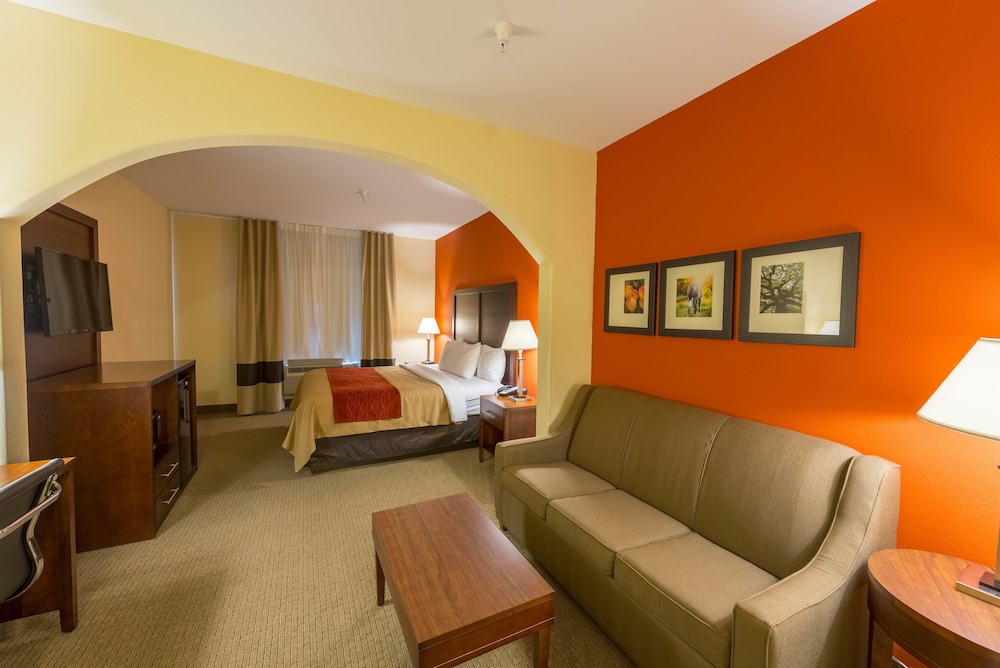 Comfort Inn & Suites Villa Rica, GA 34/47