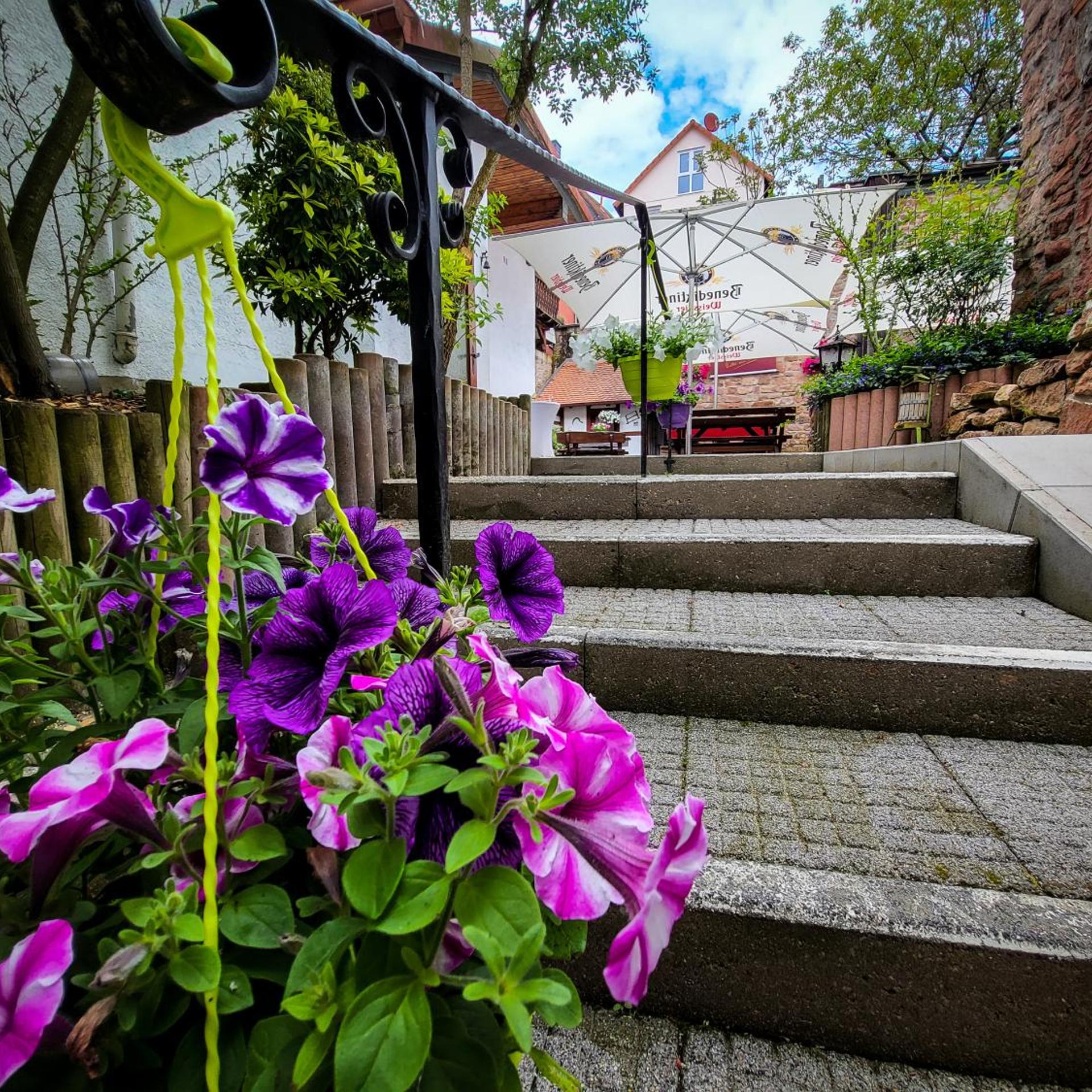 Hotel Zum Lowen 46/50
