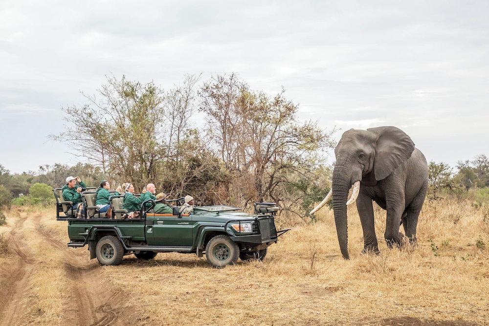Shiduli Private Game Lodge 63/71