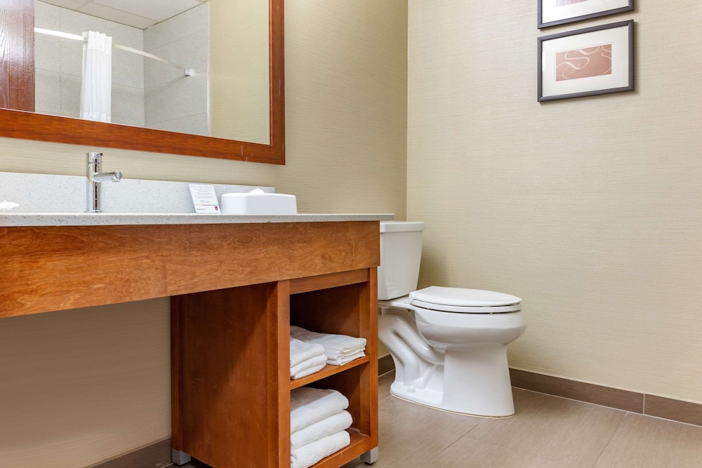Comfort Suites Dover University Area 15/36