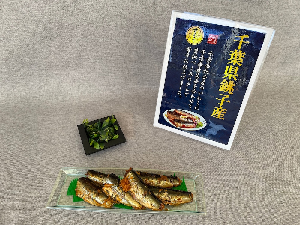 Toyoko Inn Nishi-Funabashi Baraki Inter 32/49