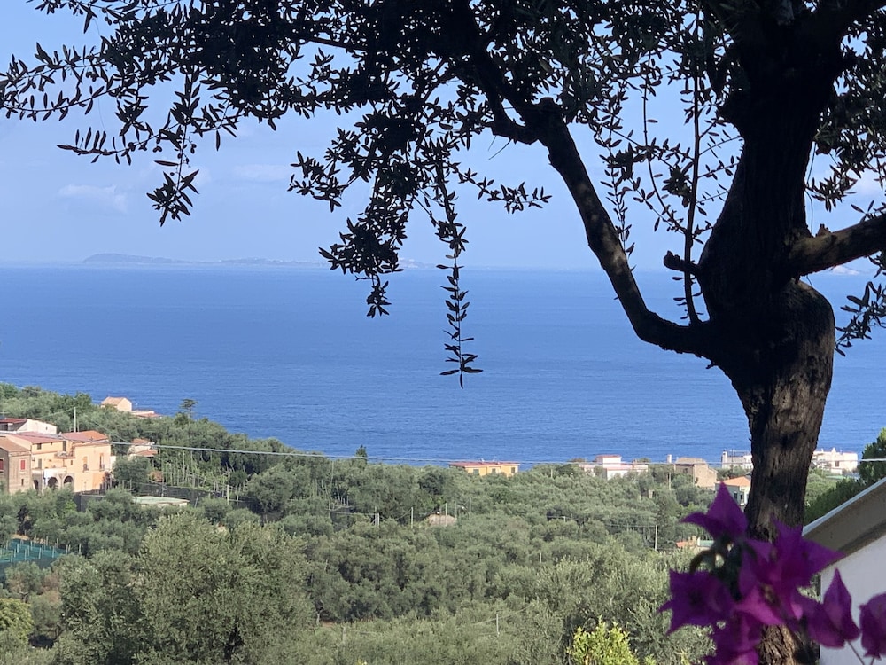 Villa Giovanna 27/49
