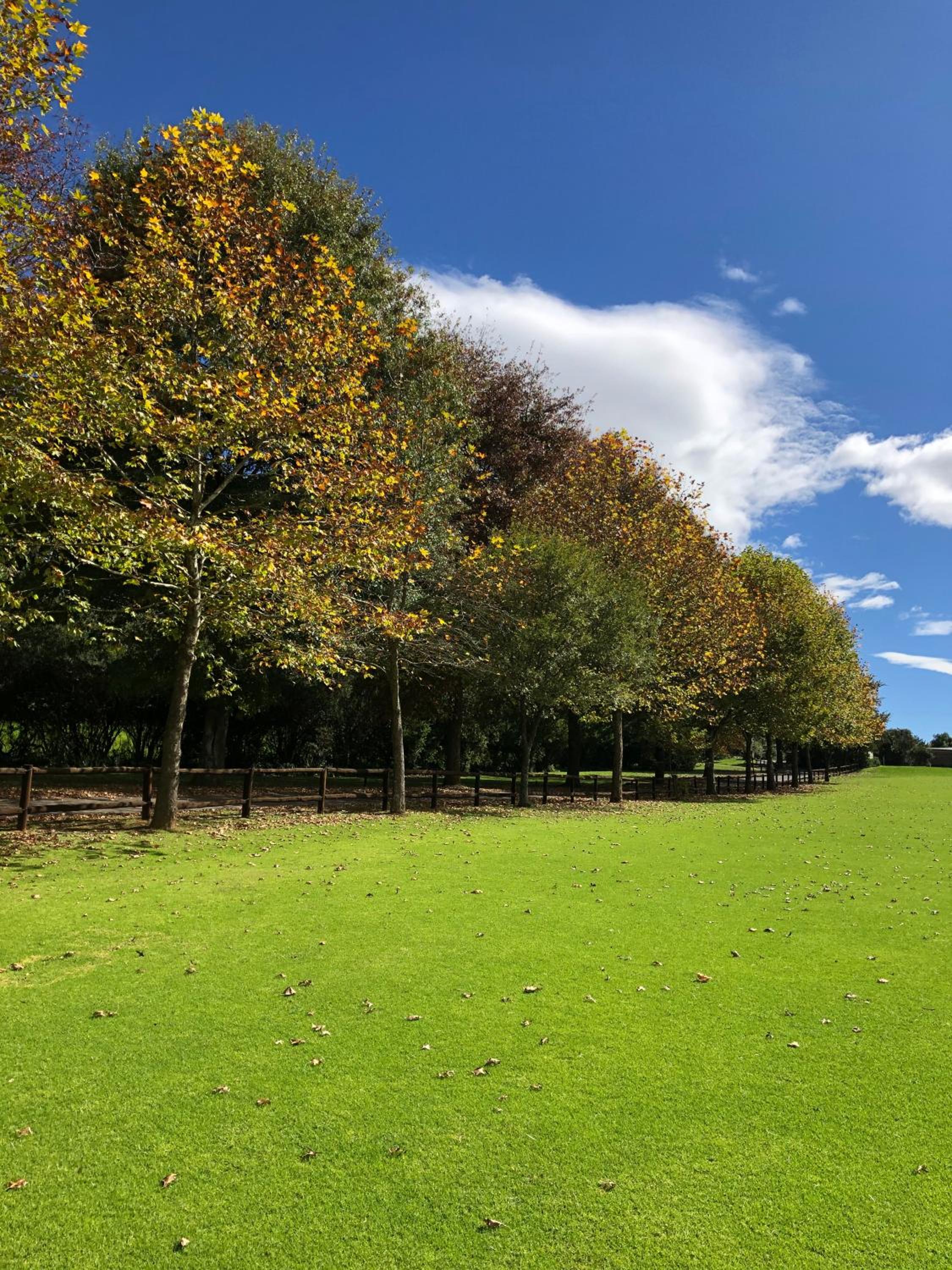 Gowrie Farm Golf Estate 46/50