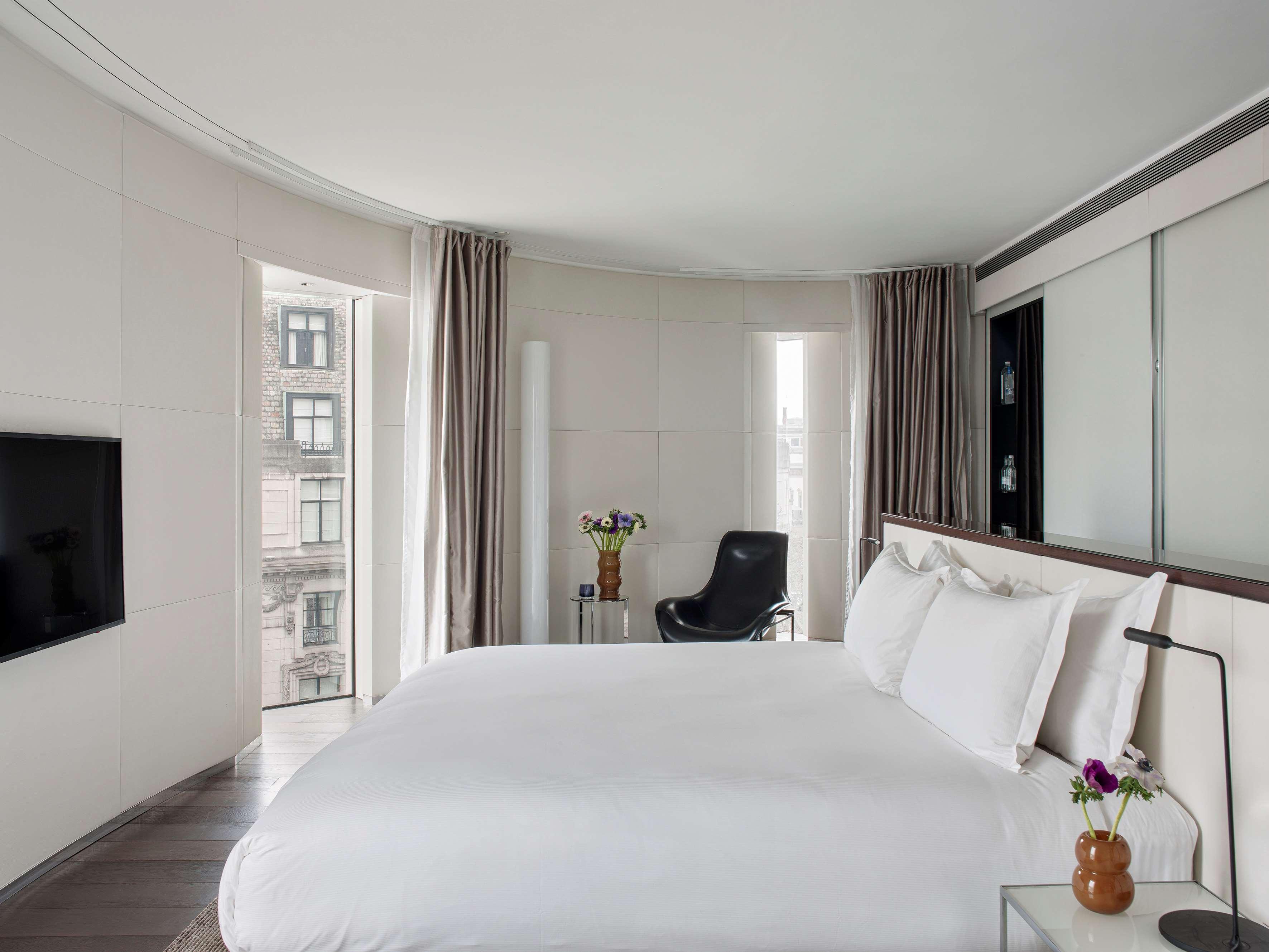 Suite, King Bed