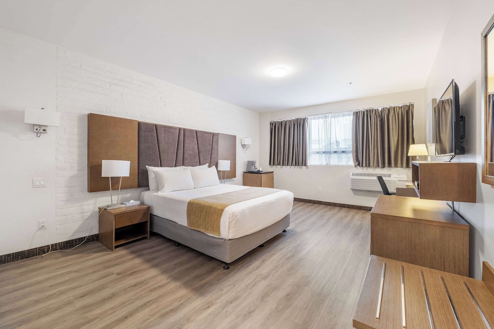 Standard, Queen Bed