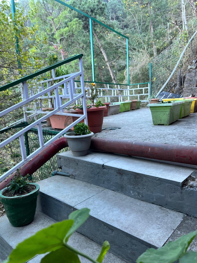 UNA COMFORT KASAULI EXOTICA 23/50