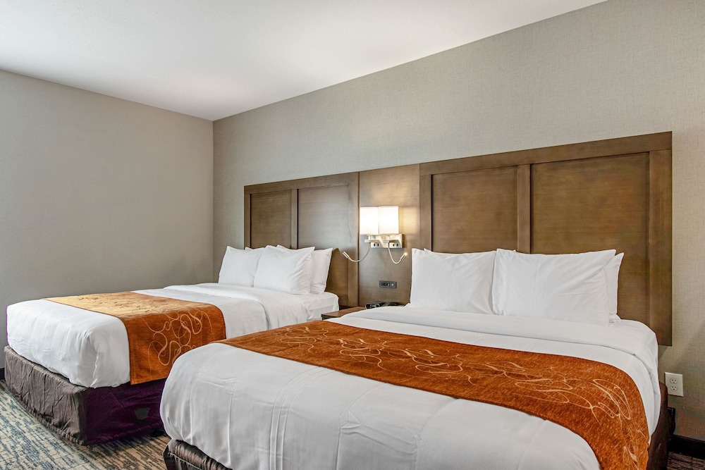 Suite, Single, 2 Queen Beds, Sofa
