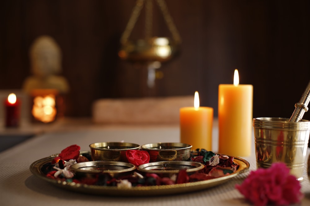 Sterling Palm Bliss Wellness度假村, Rishikesh(Sterling Palm Bliss Wellness Resort, Rishikesh) 图片2