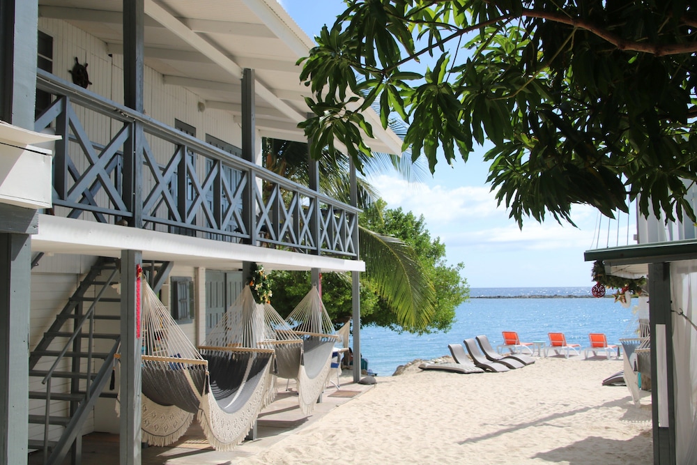 Coral Reef Beach Aruba 32/50