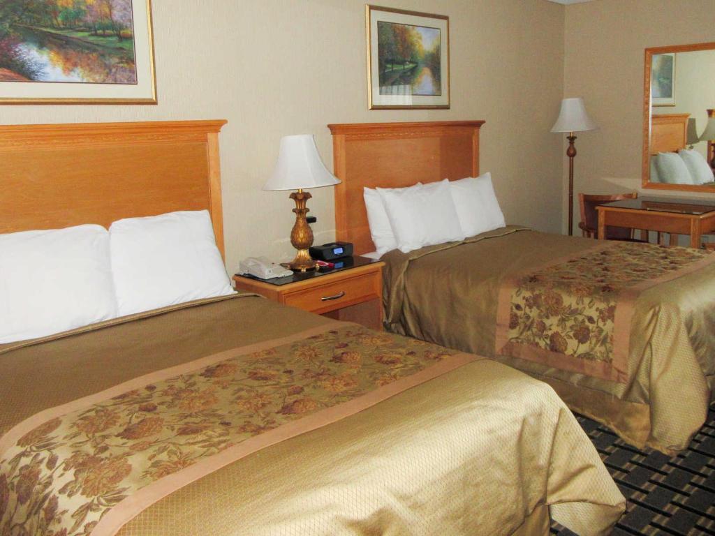 Efficiency, King Bed