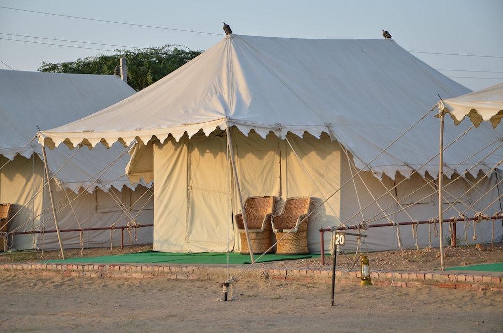 Dynasty Desert Camp 42/50