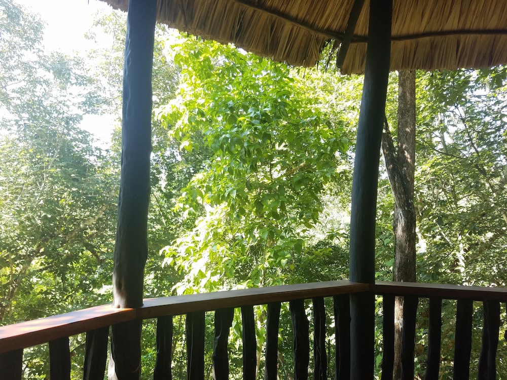 Table Rock Jungle Lodge 25/65
