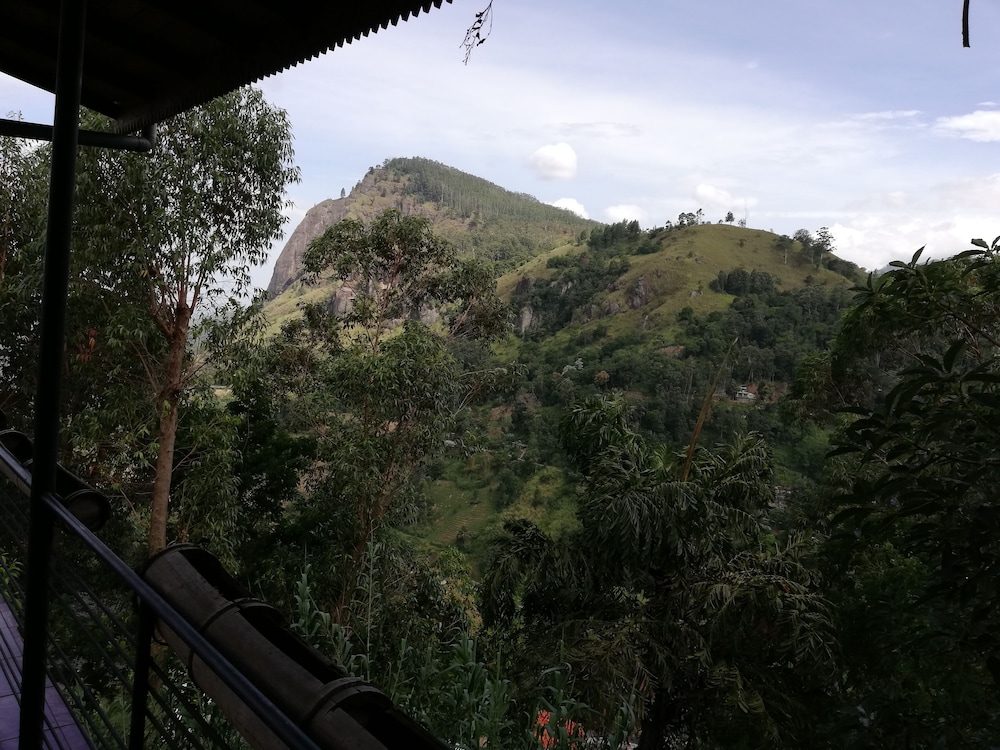 Tea Garden Holiday Inn 22/30