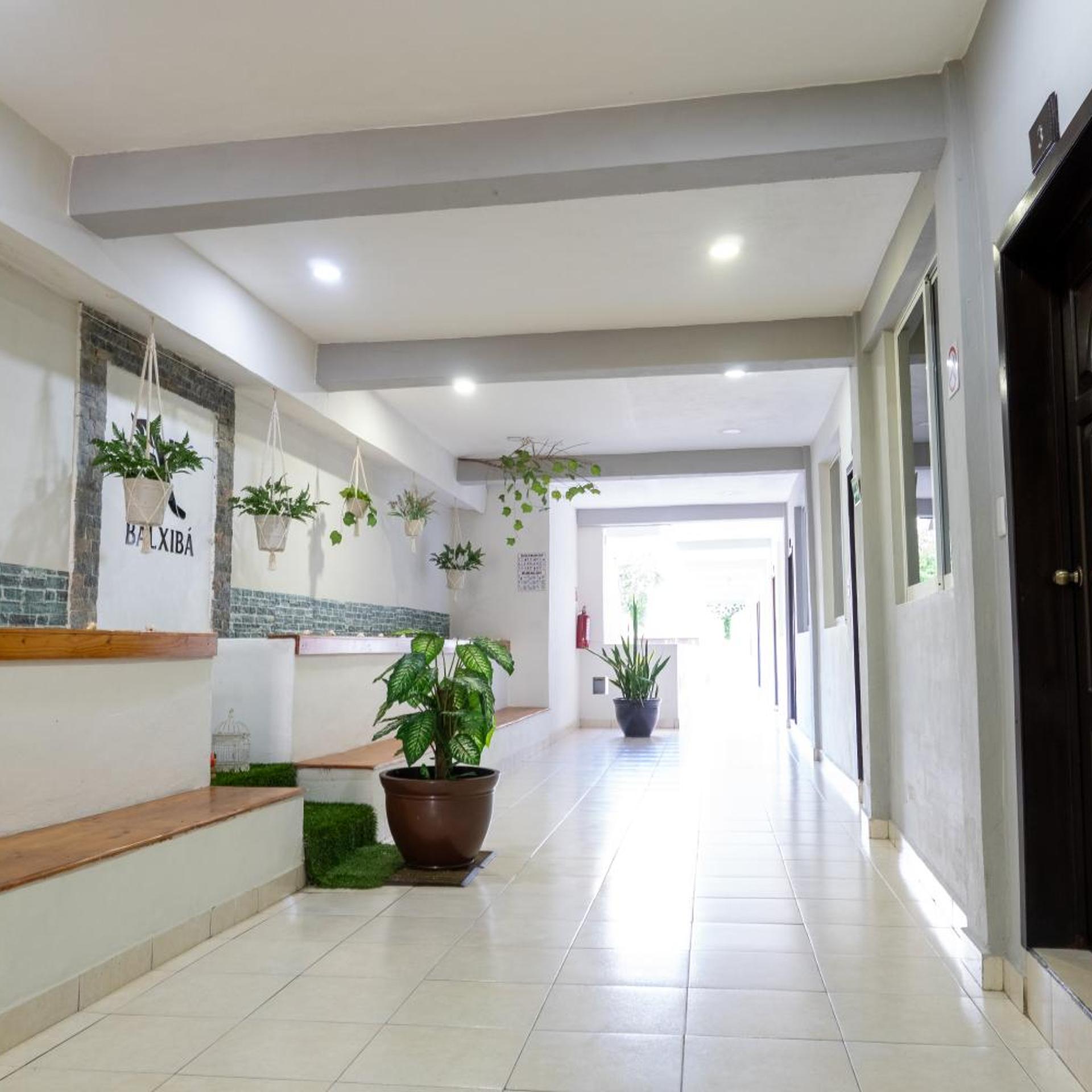 Hotel Balxiba, Centro Playa del Carmen 9/45