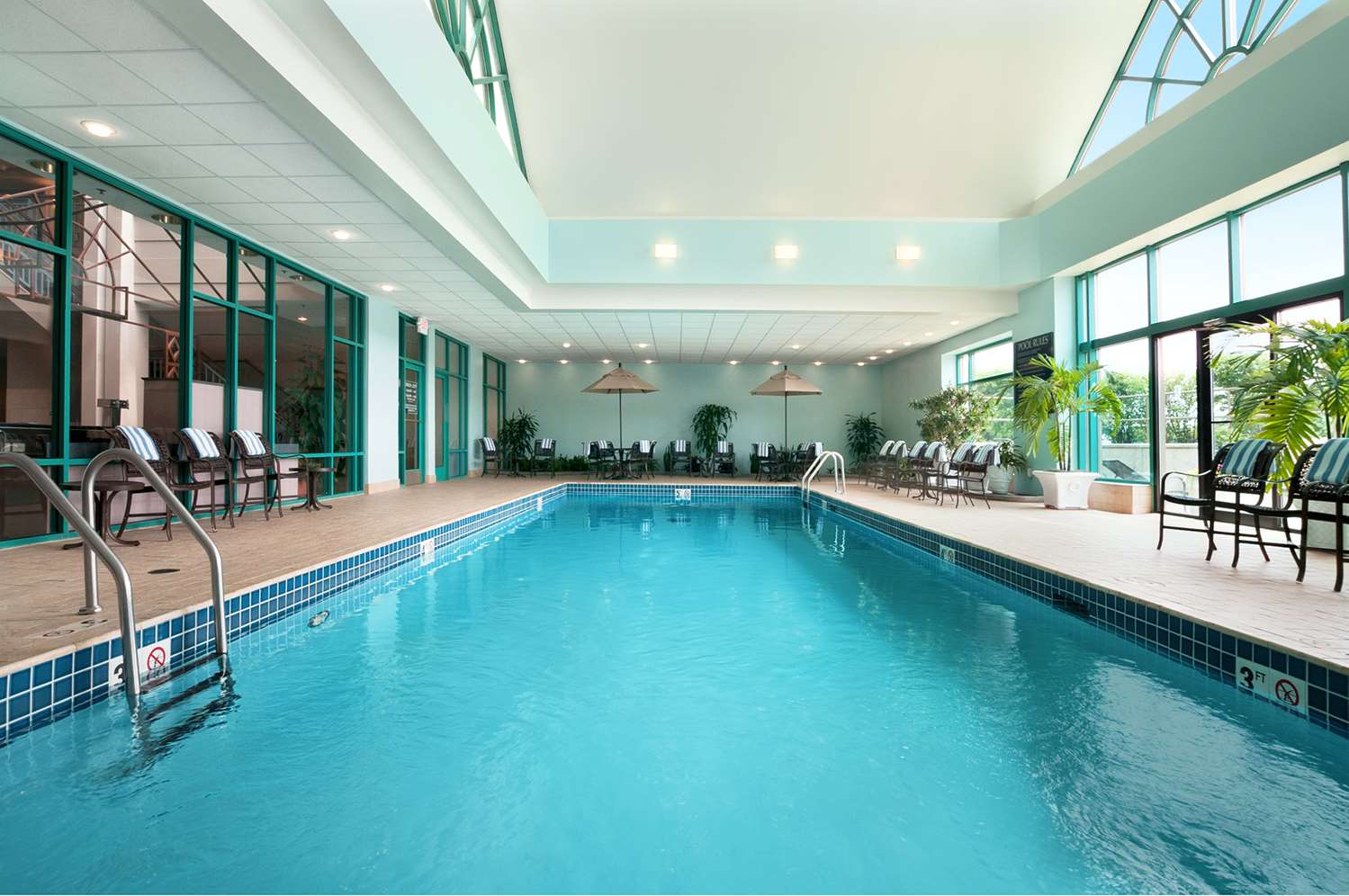 swimming pool spa