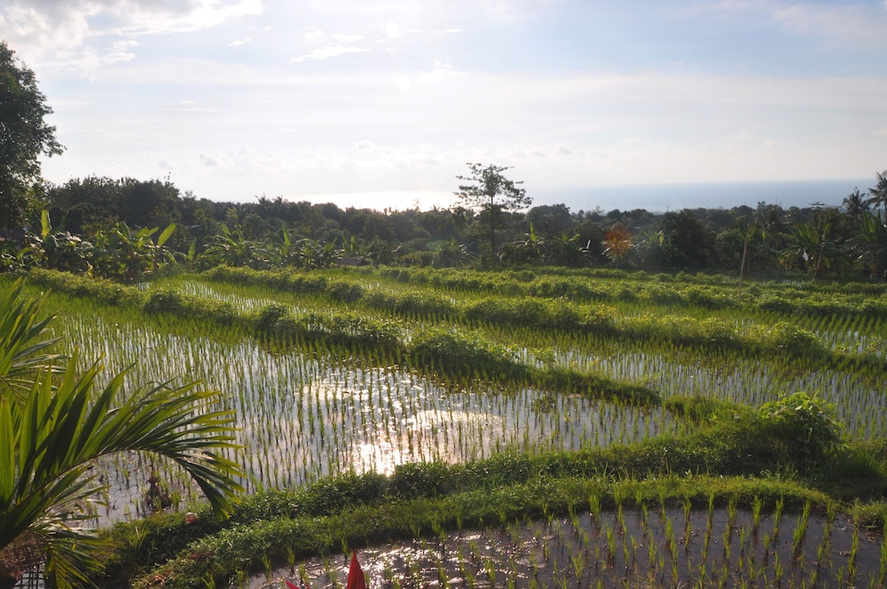 Puri Mangga Sea View Resort & Spa 47/66