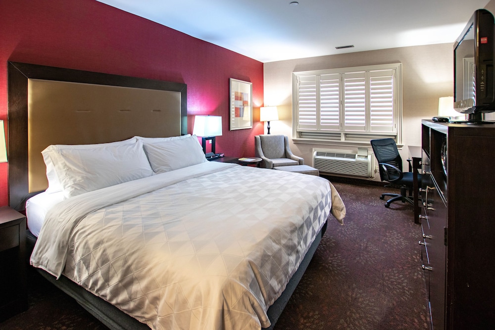 Holiday Inn Hotel Suites St Catharines Conference Ctr 19/81