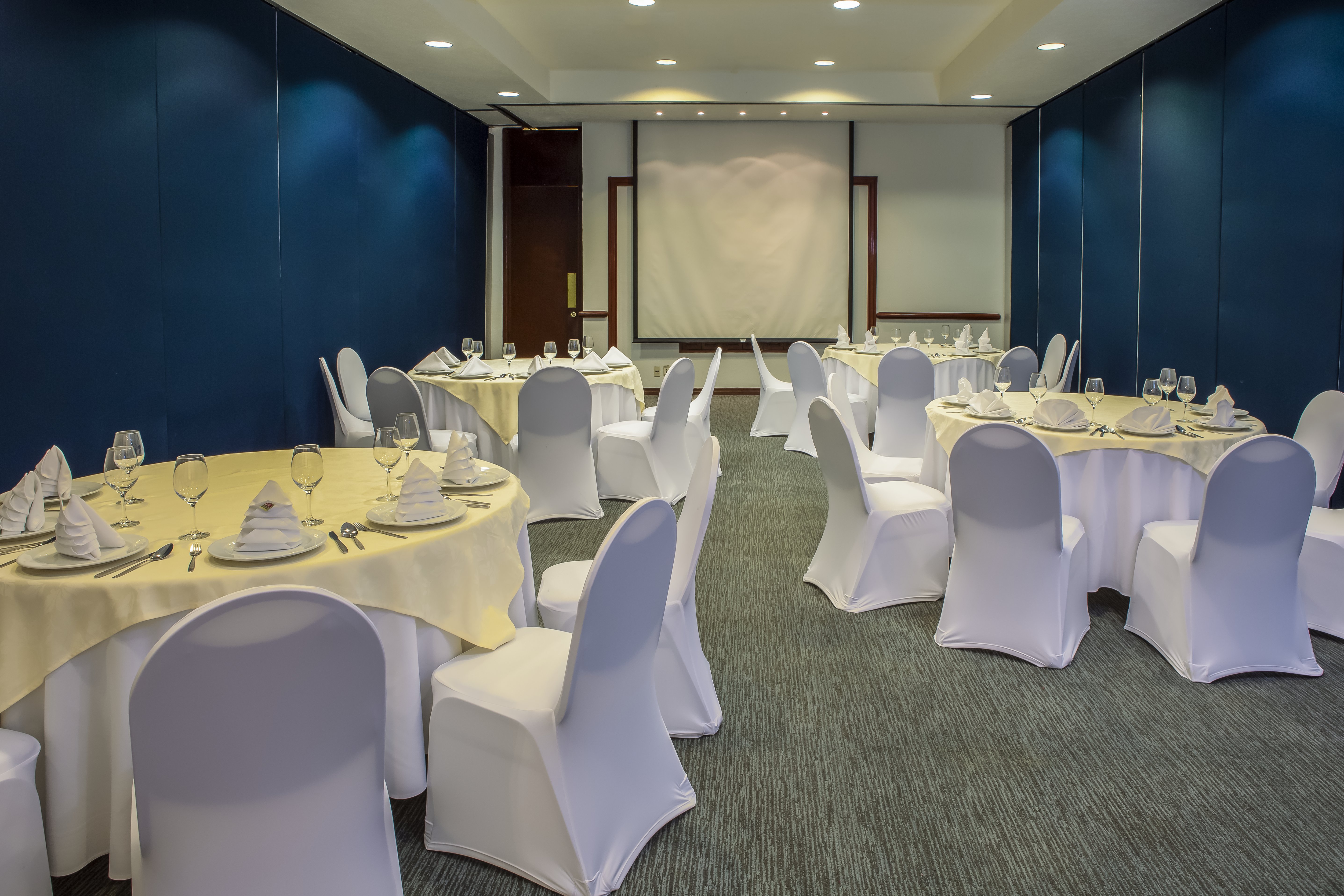Fiesta Inn Ciudad Juarez 26/39