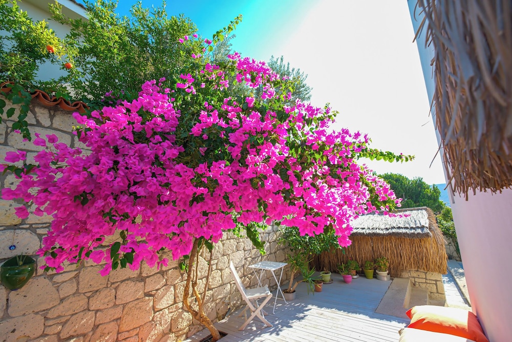 Kybele Alacati 42/50
