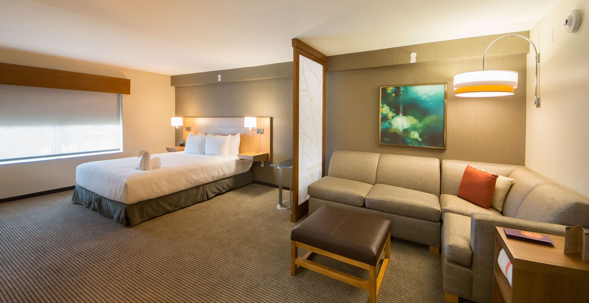 ROOM, KING BED, SOFA