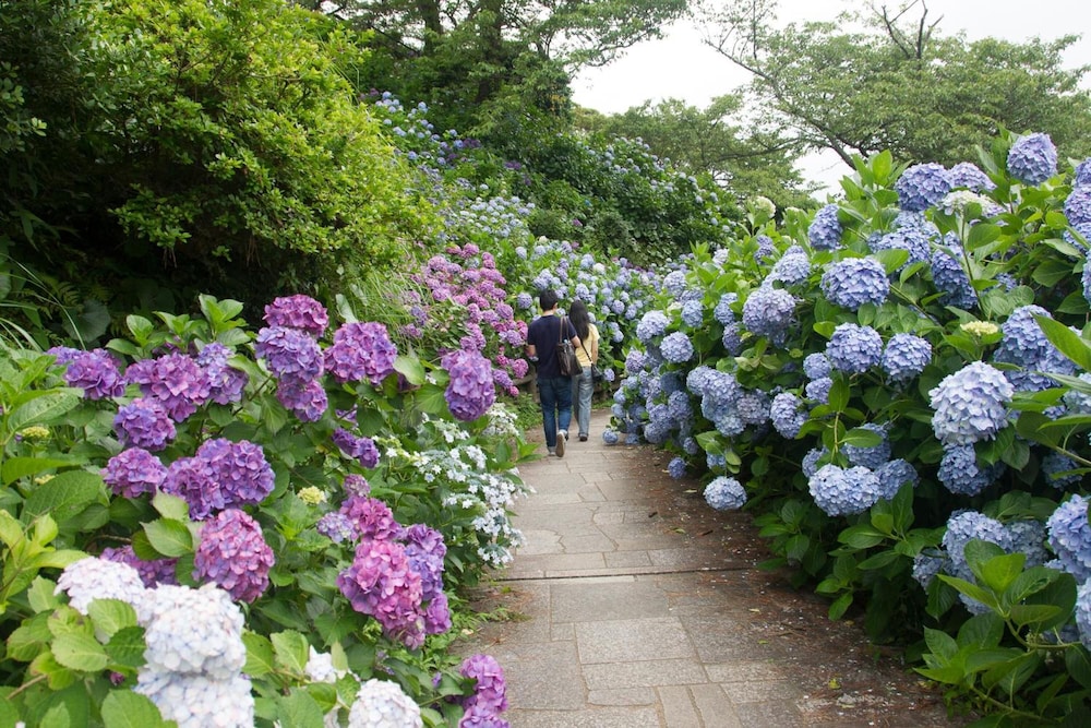 Shimoda Ocean Park Hotel 8/52
