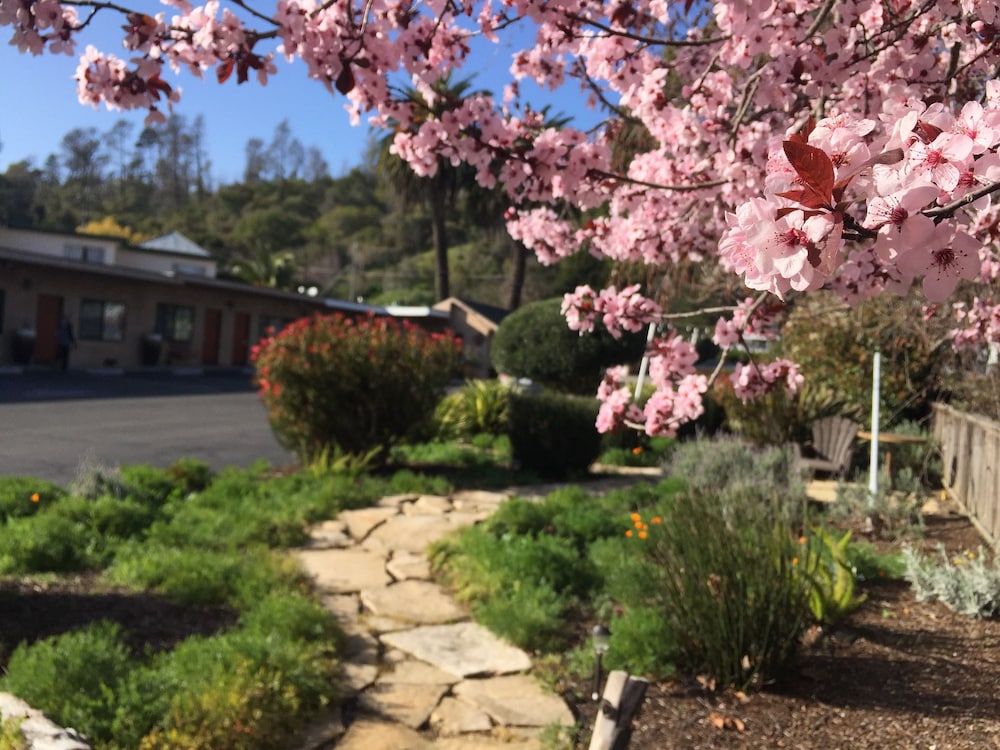 Cambria Palms Motel 15/27