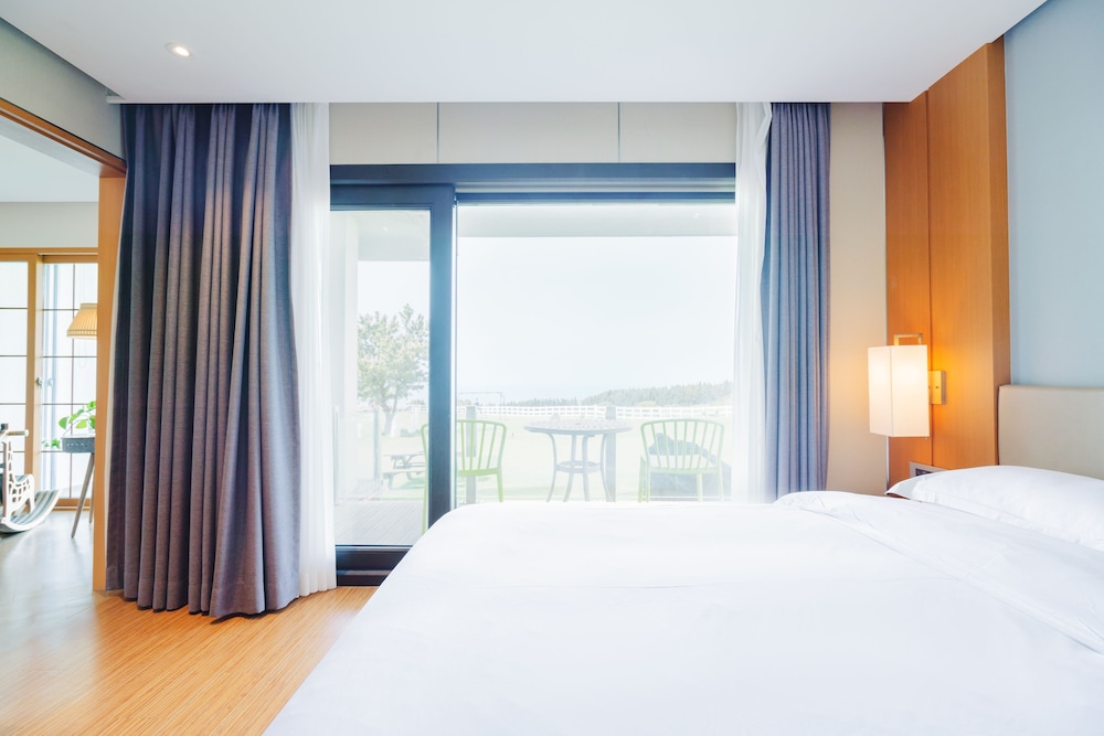 Amber Purehill Hotels & Resorts Jeju 15/50