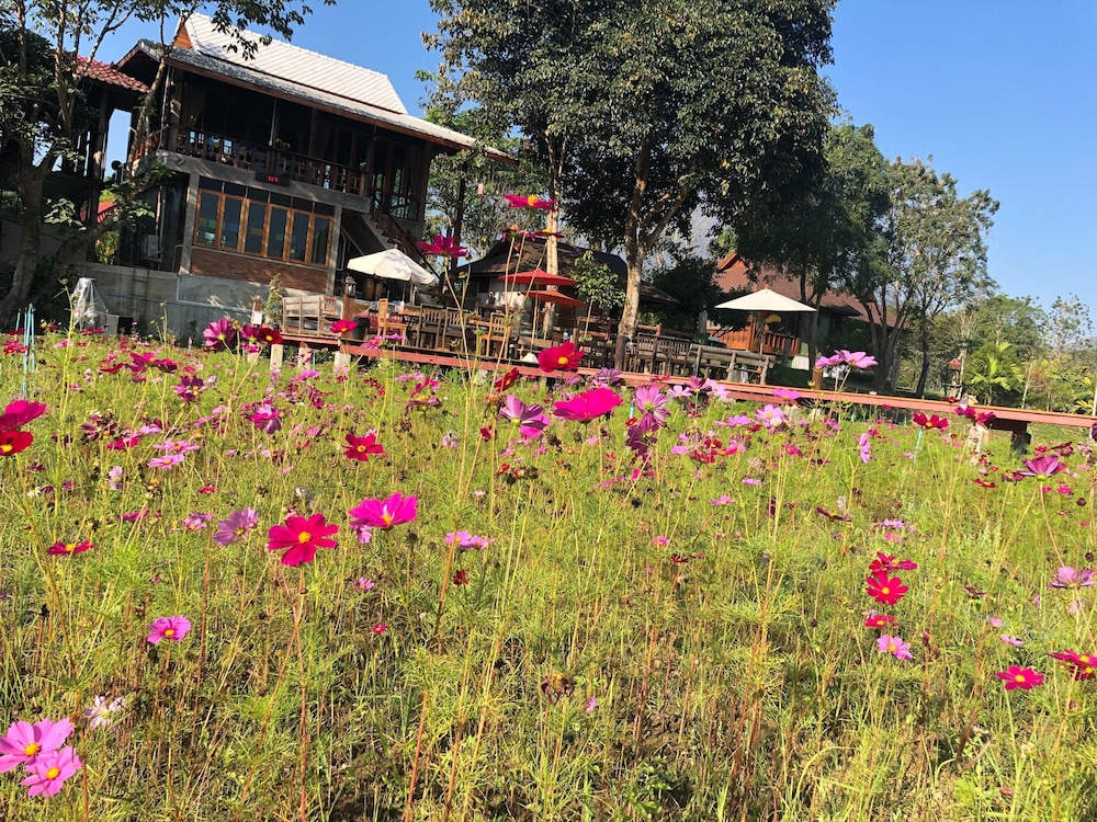 Ban Suan Tawan Chiang Dao 44/50
