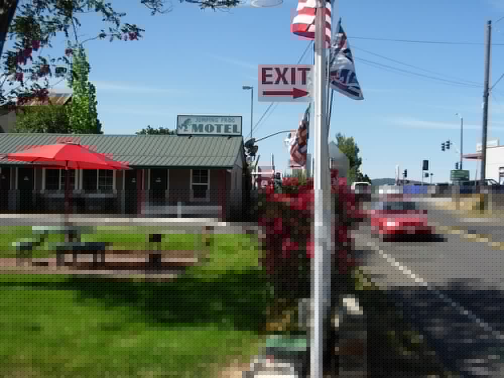 Jumping Frog Motel 10/67