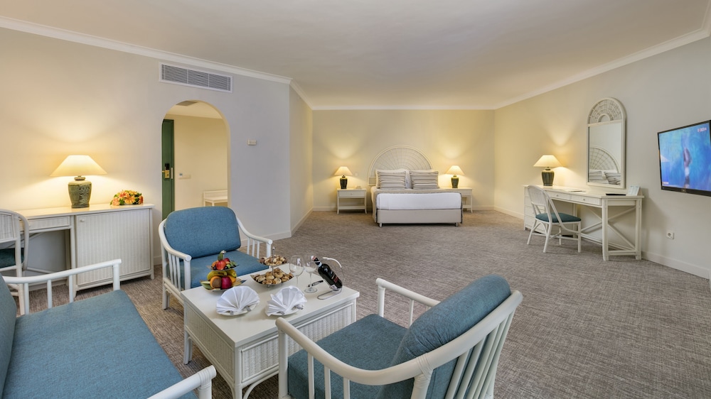 Mirage Park Resort Hotel 48/79